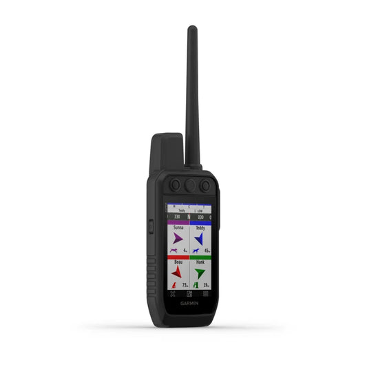 Garmin 300